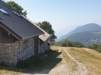 Tocht Stappen Sainte-Reine - Routhennes - col du potat - Photo