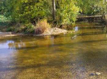 Trail Walking Dieulouard -  Dieulouard  - Photo