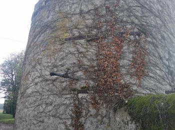 Tour Wandern Saint-Branchs - St Branchs deu mouru en Echandon - Photo