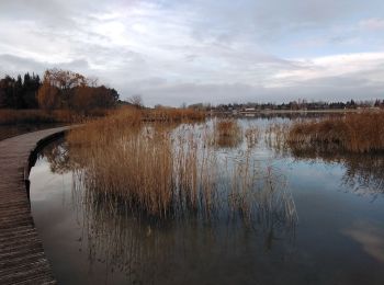 Trail Walking Monteux - lac de monteux  - Photo