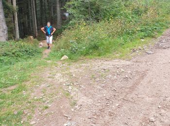 Tour Wandern Le Bessat - Avion Craché - Photo