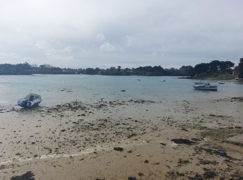 Trail Walking Île-de-Bréhat - Brehat du Nord au Sud - Photo