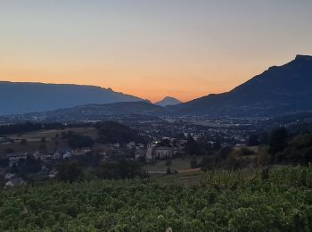 Trail Walking Saint-Jeoire-Prieuré - Tours de Chignin  - Photo