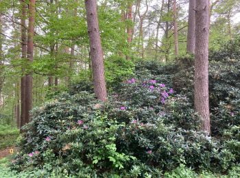 Percorso Marcia Wavre - Limal vers Bois de Lauzelle par le Jardin des Moines  - Photo