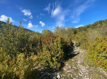 Trail Walking La Chapelle-en-Vercors - Belvédère de Remoulat  - Photo