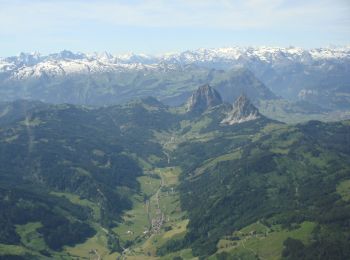 Tour Zu Fuß Einsiedeln - Trachslau - Alpthal - Photo