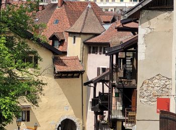 Tocht Stappen Annecy - 250523 Annecy - Photo