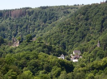 Randonnée A pied Thalhausen - Wäller Tour Iserbachschleife - Photo