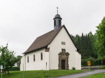 Tocht Te voet Altenbeken - Altenbeken: Durbeke / Fuchsgrund - Photo