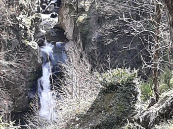 Excursión Senderismo Labastide-sur-Bésorgues - entre Besognes et Volane  - Photo