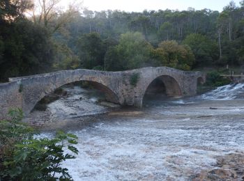 Randonnée Marche Vins-sur-Caramy - Vins sur Caramy-15-10-21 - Photo