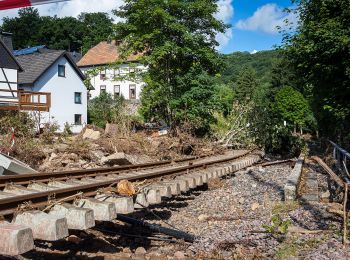 Randonnée A pied Kall - EifelSchleife Von Bären und Bärlauch - Photo