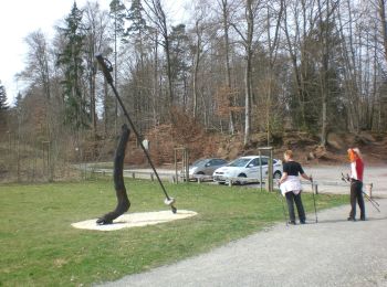 Tocht Te voet Weingarten - Spazierweg Weingartener Bächle - Photo