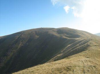 Tour Zu Fuß Siebendörfer - Cabana Rențea - Culmea Zamora - Photo