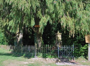 Tocht Te voet Fellbach - DE-SAV Roter Balken, von - nach Oeffingen - Photo