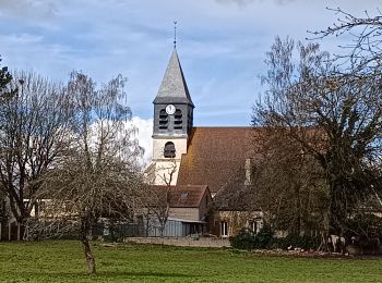 Tocht Stappen Chennegy - Randonnée à Chennegy - Photo