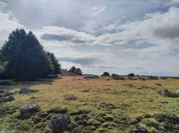 Tour Zu Fuß Pont de Montvert - Sud Mont Lozère - Sentier de Mas Camargues - Photo