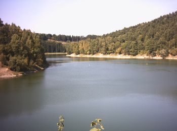 Tocht Te voet Sangerhausen - Wanderweg Wippra-Dankerode - Photo