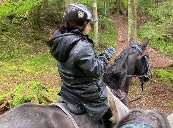 Trail Horseback riding Badonviller - Balade jeunes automne Elodie  - Photo