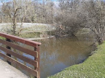 Tour Wandern Boissy-Saint-Léger - parc bruyère  sucy - Photo