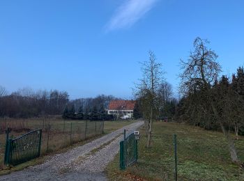 Randonnée A pied Heidesee - Rundweg Prieroser Heide - Photo