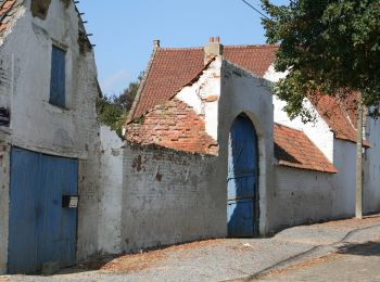 Tour Zu Fuß Beauvechain - Promenade d'el Grosse Tourëne - Photo