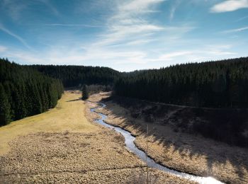 Tour Wandern Büllingen - Rocher du Bieley   - Photo