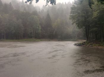 Trail Walking Plancher-les-Mines - 2019-08-07 Balade Plancher des belles filles - Photo