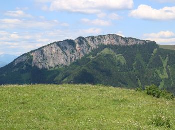 Percorso A piedi Fladnitz an der Teichalm - Wanderweg 2 - Photo