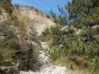 Randonnée Marche Serres - Rocher de Jardanne - Photo