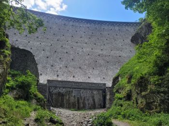 Tour Klettersteig Planfoy - via ferrata planfoy 04juin2021  - Photo