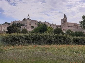 Tocht Stappen Valliguières - Valliguieres - comble de Vayer - Photo