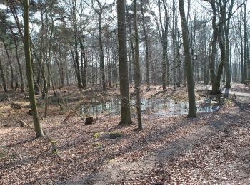 Excursión A pie Hilden - Laufstrecke Reh (Hildener Stadtwald) - Photo