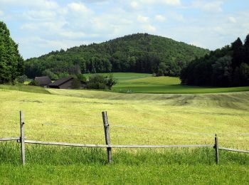 Tour Zu Fuß Oetwil an der Limmat - Weiningen - Oetwil - Photo