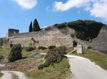 Randonnée Marche Rochefort-en-Valdaine - Citelles et Rochefort en Valdaine 8km - Photo