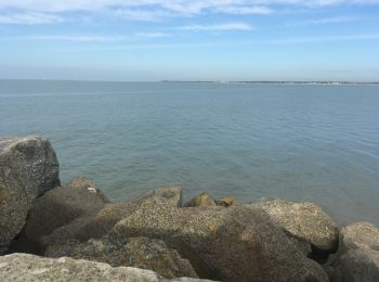 Tocht Stappen La Rochelle - Port de Pêche  - Photo