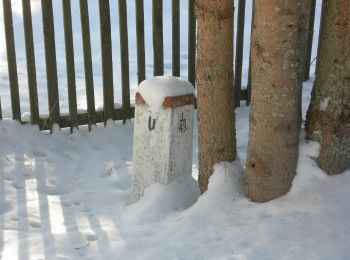 Percorso A piedi Aigen-Schlägl - Nordwaldkammweg Verbindungsweg V3 - Photo