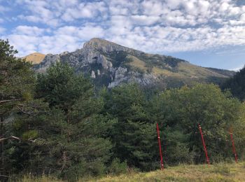 Excursión Senderismo Valdeblore - La Colmiane - Le Caire Gros - Photo