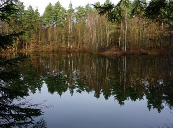 Trail On foot Brühl - Klüttenweg - Photo