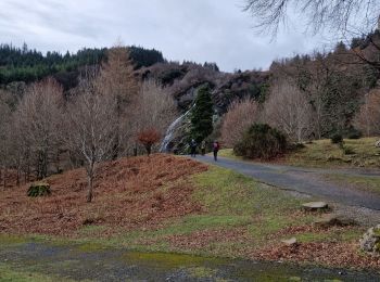 Trail Walking The Municipal District of Bray - waterfall - Photo