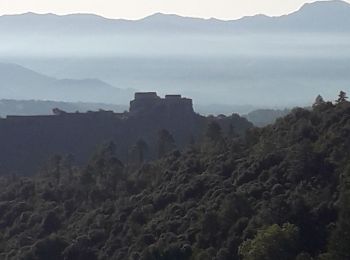 Tour Wandern Corte - gite sega - Photo