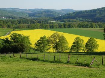 Tour Zu Fuß Balve - Eisborn Rundweg A4 - Photo