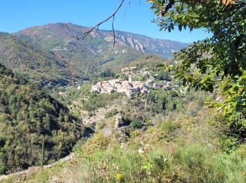 Excursión Senderismo Vallées-d'Antraigues-Asperjoc - attribués sur volane - Photo