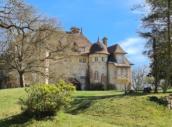 Trail Walking Saint-Léger-en-Yvelines - Le Planet à Poigny-La-Fôret 5km - Photo