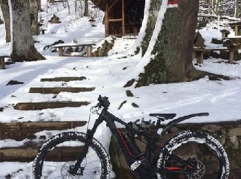 Trail Mountain bike Steinbach - 9011638-Tour des chapelles Thann-Cernay - Photo