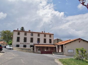 Randonnée A pied Sauvagnat-Sainte-Marthe - Le Puy Neyrand - Photo