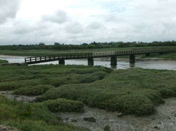 Randonnée Marche Port-Bail-sur-Mer - 20240616-Les Dunes de Lindberg  - Photo