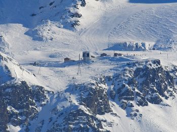 Percorso A piedi La Plagne-Tarentaise - Sentier Découverte Grande Rochette - Photo