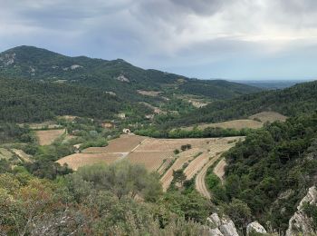 Tocht Stappen Lafare - Dentelles de Montmirail  - Photo