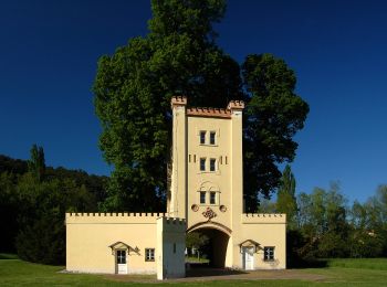 Tour Zu Fuß Gemeinde Berndorf - KIA Sportage Runde (Berndorf) - Photo